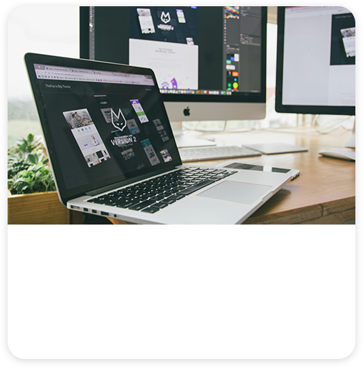 Website design and development